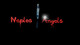 Ảnh thumbnail bài tham dự cuộc thi #39 cho                                                     Design a Logo for Naples Angels.  Naples Angels is a professional WingWoman Service.  Our Clients hire our beautiful angels to go out with them at night and introduce them to suitable ladies to date
                                                