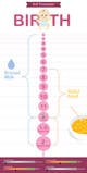 Kilpailutyön #8 pienoiskuva kilpailussa                                                     Illustrate timeline of pregnancy with 4 stages of testing
                                                