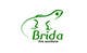 Anteprima proposta in concorso #63 per                                                     Logo Design for Brida (Gecko)
                                                