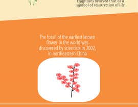 #27 for Infographic about Flowers by manishrai22