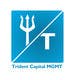 Konkurrenceindlæg #107 billede for                                                     Design a Logo for Trident Capital Management Ltd
                                                