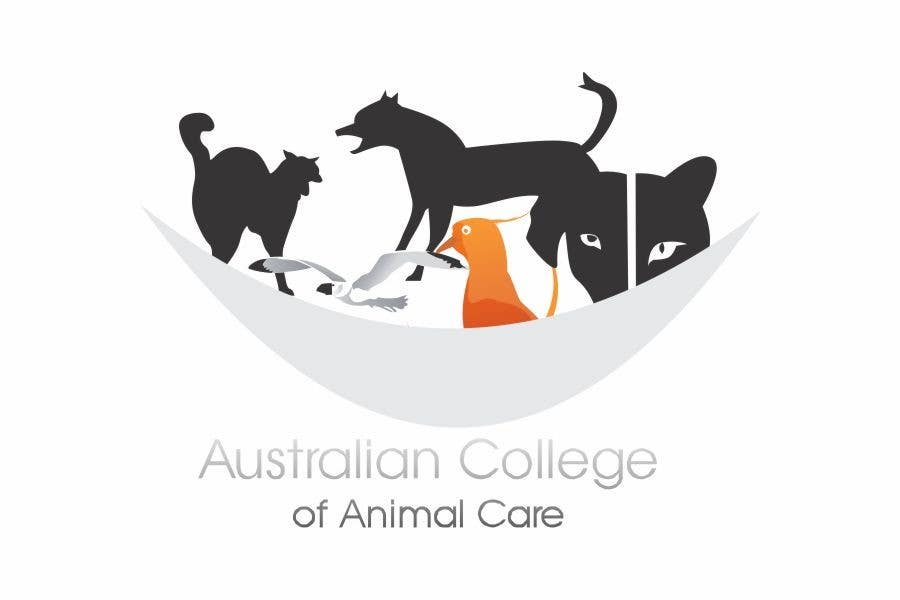 Entry #109 by vida0092001 for Logo Design for Australian College of Animal  Care | Freelancer