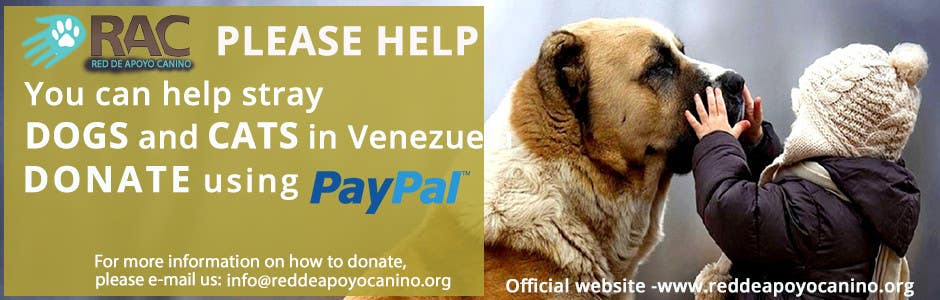 Entry #63 by SumanMollick0171 for Design a Banner for an animal welfare NGO  in Venezuela. | Freelancer