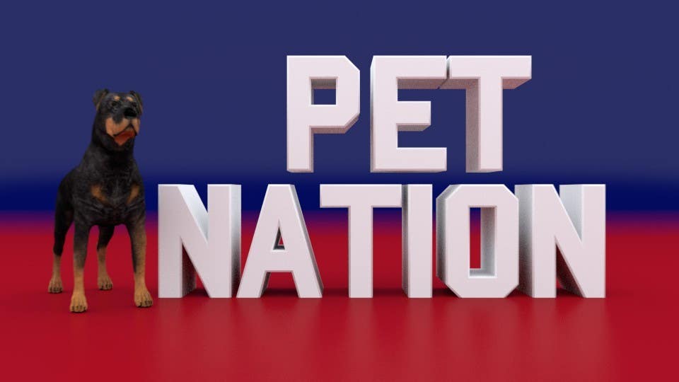 Penyertaan Peraduan #7 untuk                                                 Create an Animation for PET NATION
                                            
