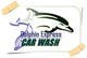 Miniatura de participación en el concurso Nro.1 para                                                     Logo Design for Dolphin Express Car Wash
                                                