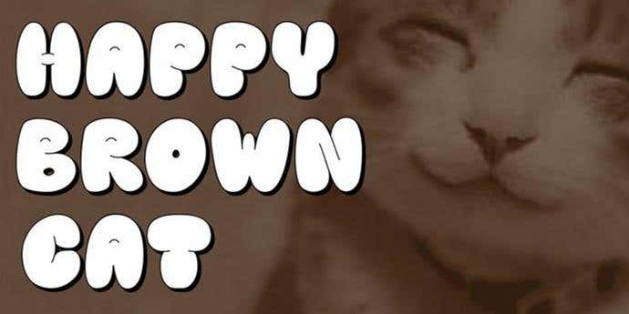 Happy Brown Cat