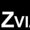 Zviagin&Co