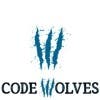 CodeWolves的简历照片