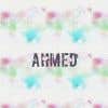 ahmed010562's Profile Picture
