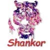 Shankor420