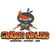 Ginger Ninjas
