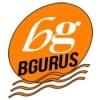 bgurus's Profile Picture
