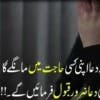mirzajaved1155's Profile Picture
