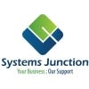 systemsjunction1 adlı kullanıcının Profil Resmi