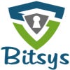 Immagine del profilo di Bitsysin