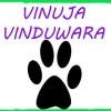 VinUjaVinduWara's Profile Picture