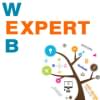 Gambar Profil webexpertbaig