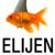 elijen's Profile Picture