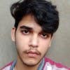 AyushPandey2905's Profile Picture