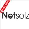 netsolzz的简历照片