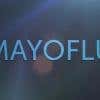 mayoflux's Profile Picture