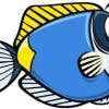 Gambar Profil EyeFish