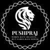 pushprajgurjar91's Profile Picture
