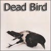 deadbird的简历照片