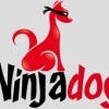 NinjaDog的简历照片