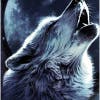 Gambar Profil mickwolf