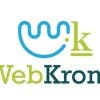 webkroma's Profile Picture
