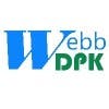 webbdpk的简历照片