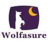 wolfasure的简历照片