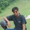 shubhamsingh147's Profile Picture