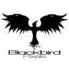 Blackbirdpixels