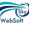 skywebsoft的简历照片