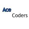 AceInCode的简历照片