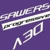 sawer5的简历照片