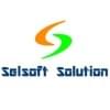 selsoftsolution的简历照片
