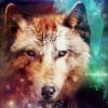 Foto de perfil de magicwolf9