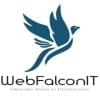 WebFalconIt's Profile Picture