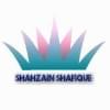 Profilový obrázek uživatele shahzainshafique
